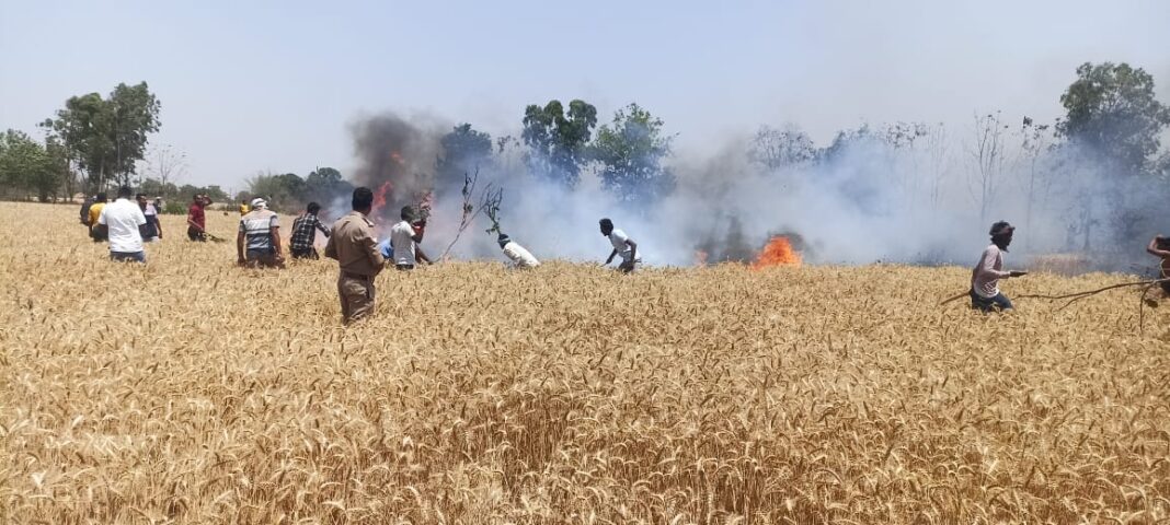 आग लगने से गेहूं की फसल जलकर राख