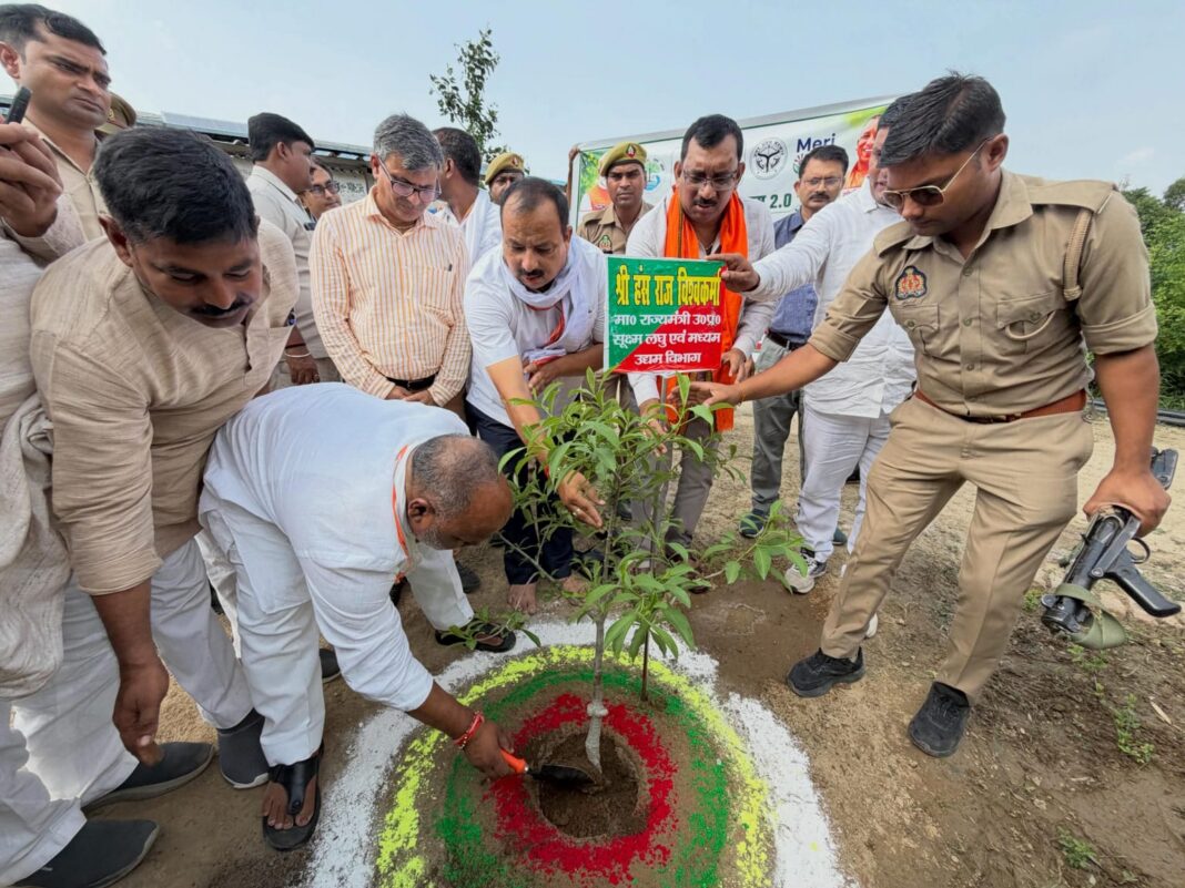 वन एवं वृक्ष मानव जीवन के आधार स्तंभ है