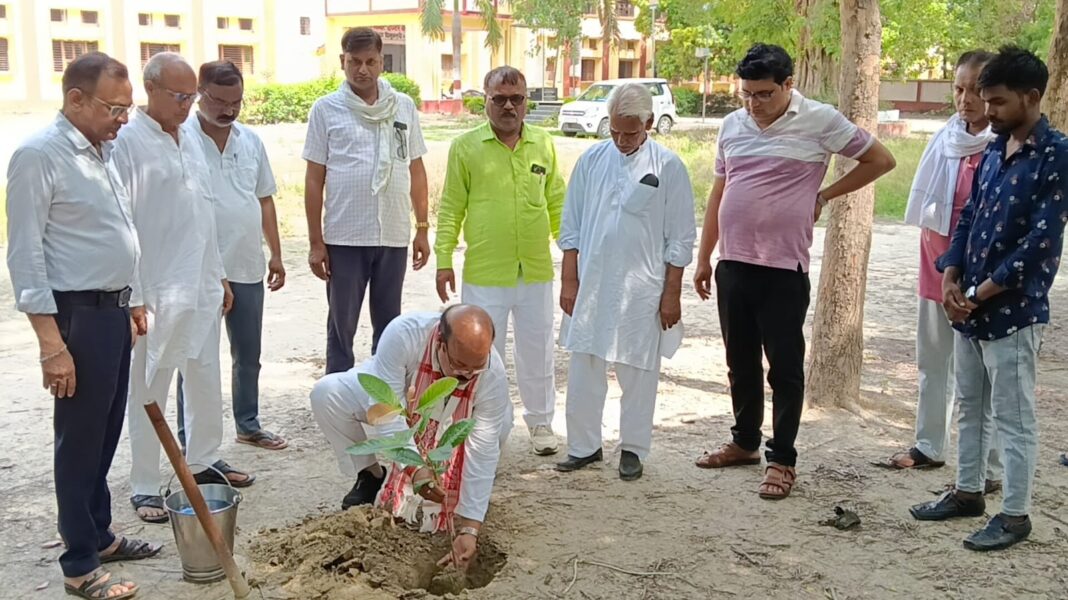 पौधरोपण एक पुनीत कार्य है