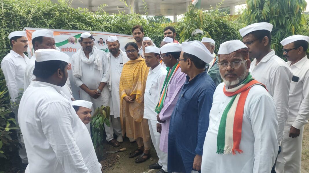 राजीव गांधी जयंती पर पूनम पासवान ने किया पौधरोपण